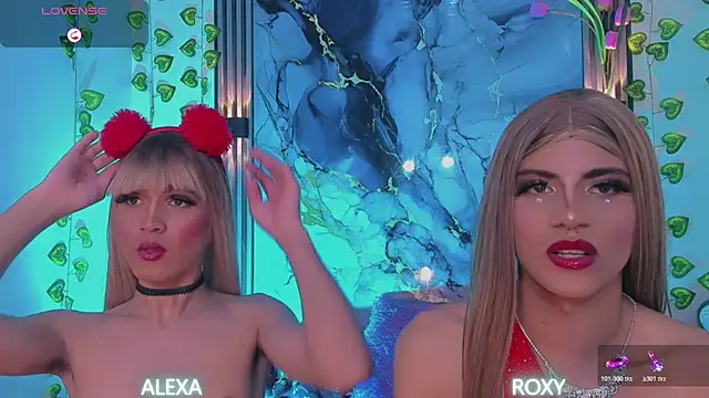 Roxy_alexa webcam