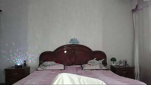 Batari webcam