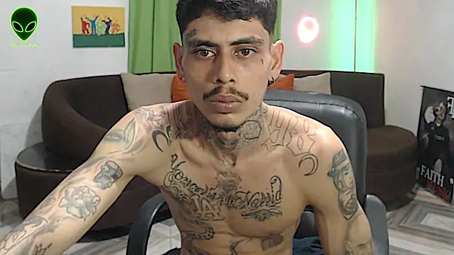 alpha_zom webcam