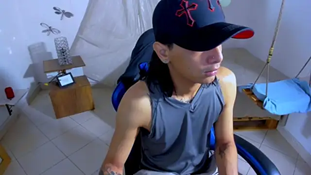 Brand_habes webcam
