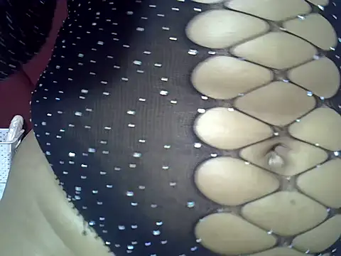 Porsh85x webcam
