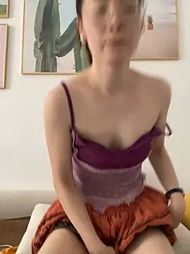 you-520 webcam