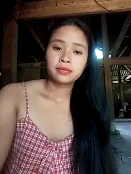 Liss-mimi webcam