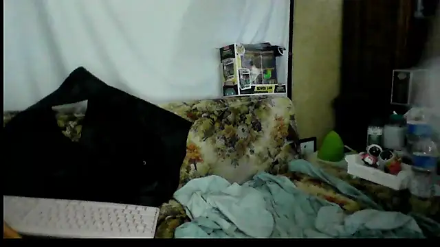 BriTheTopBear webcam