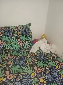 anisuescun webcam