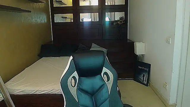FelixRook webcam