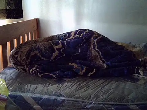 Vivibabe6 webcam