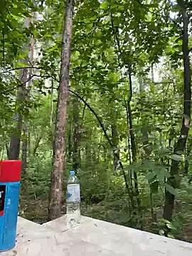 MerlinDave webcam
