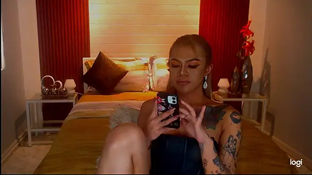 StellaStrong30 webcam