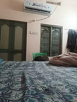 Hansikatelugu webcam