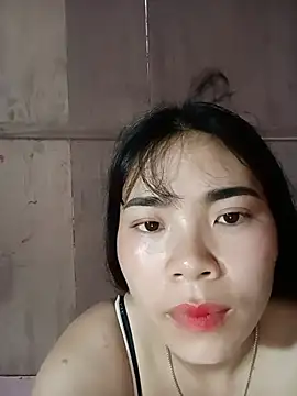 Nul_chal webcam