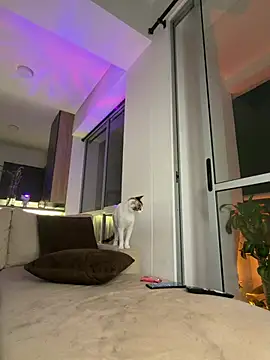 Karyrios webcam