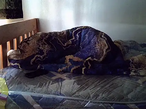 Vivibabe6 webcam