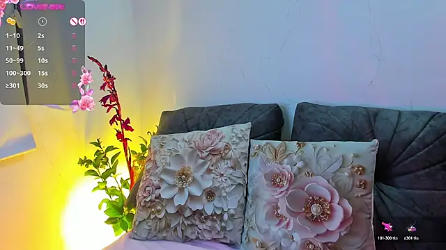 NayeCloud webcam