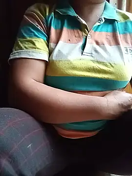 Ip34 webcam