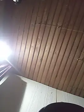 pauloandres webcam