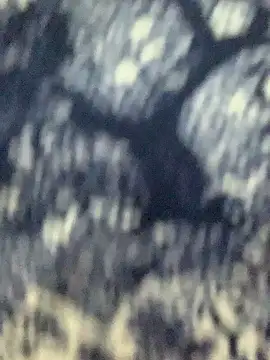 hatruclinh webcam