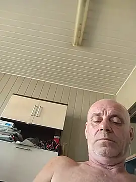 wilkalfa webcam