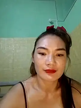 Voiva11 webcam
