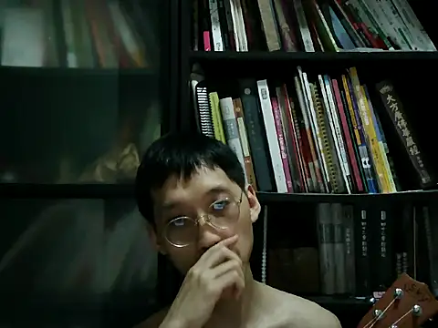 Lv8763 webcam