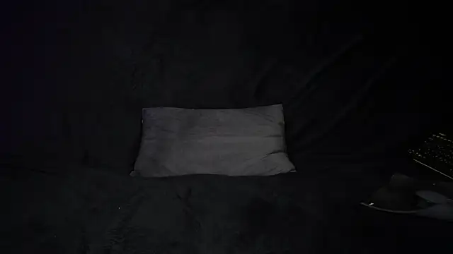 STOP-PANIC webcam