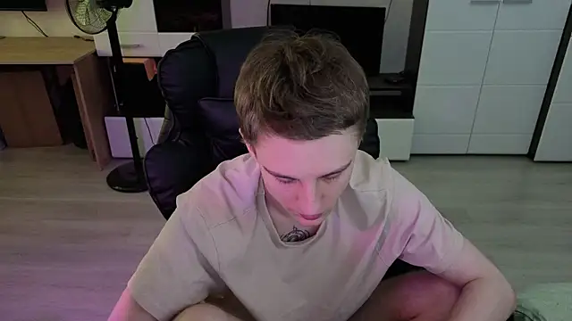 pvlpstvy webcam