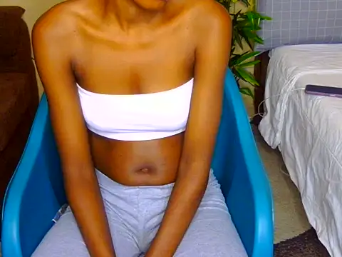 Savourni webcam