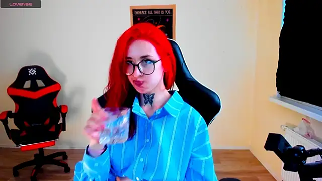your_tora webcam