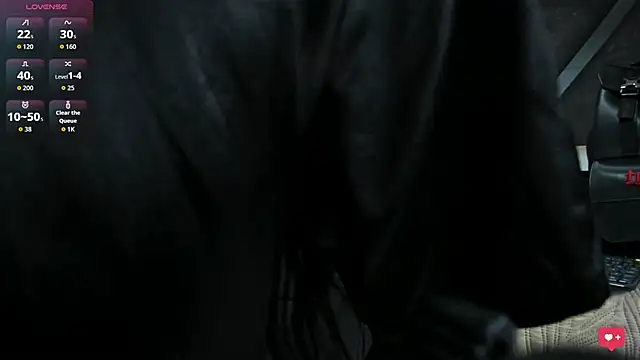 ElektraBomdans webcam