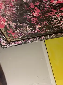 BunnyYT webcam