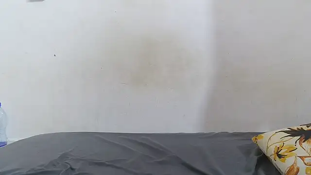 bree_libra webcam