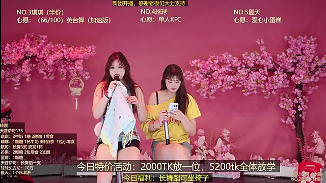 DY-001 webcam