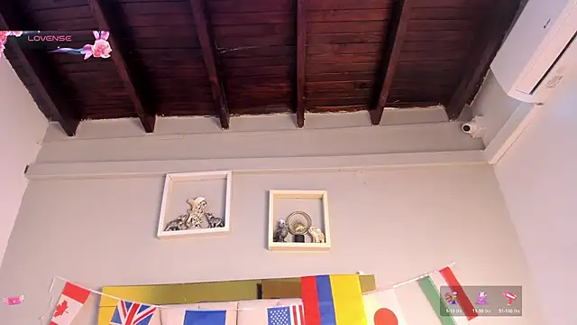 vahiolet_fuentes webcam