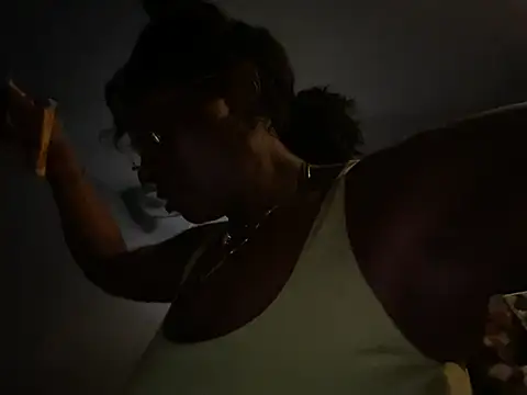 wynterheat webcam