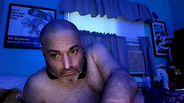 Novabear6996 webcam