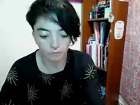 Came-II webcam