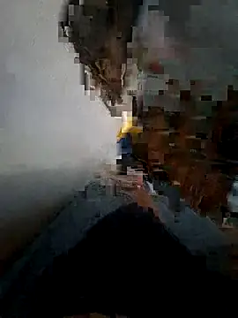 Sony28v webcam