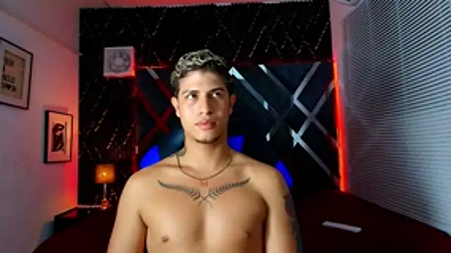 dominic_connor webcam