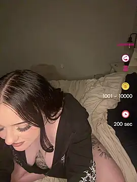 altravenn webcam