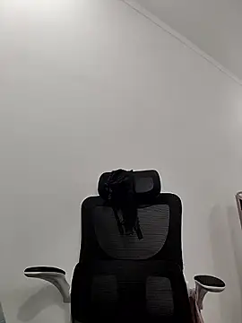 Fanritar webcam