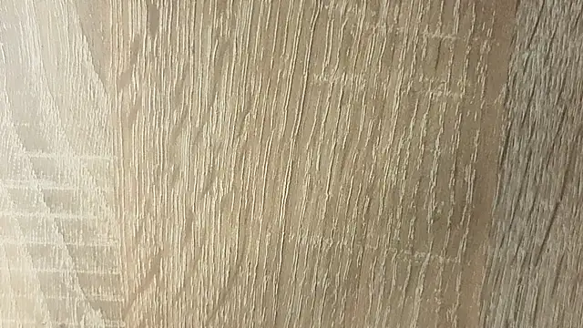 NoFace_Model webcam