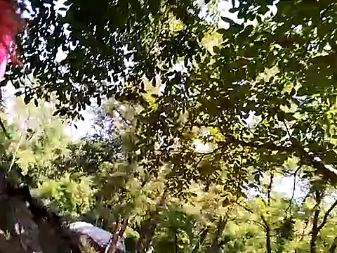Flacara100 webcam