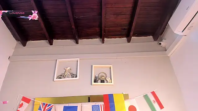 vahiolet_fuentes