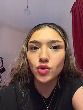 Arianavillada webcam