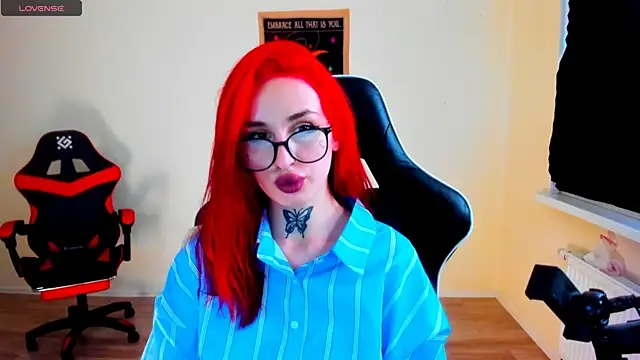 your_tora webcam