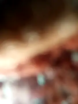 ch___ro69 webcam
