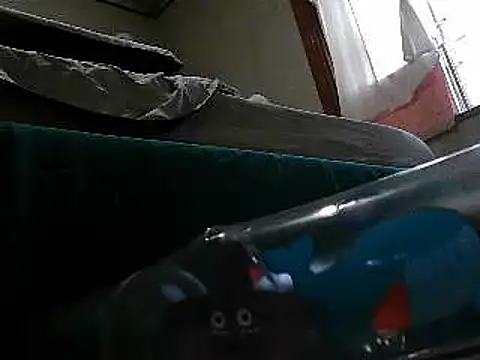 VeneRed webcam