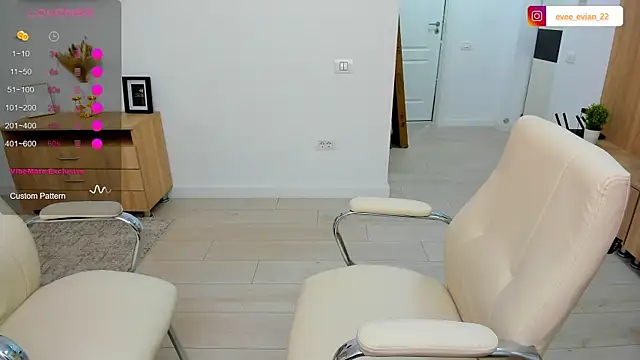 EveEvian webcam