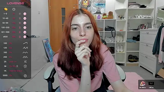 broosnica1 webcam