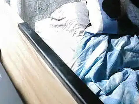 VeneRed webcam